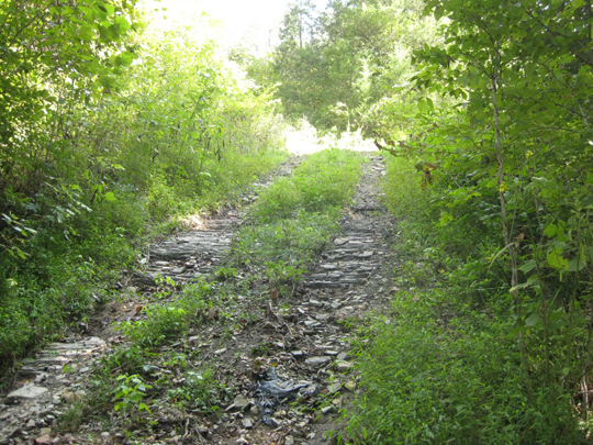Road on the site of Malinda Susan Cox home